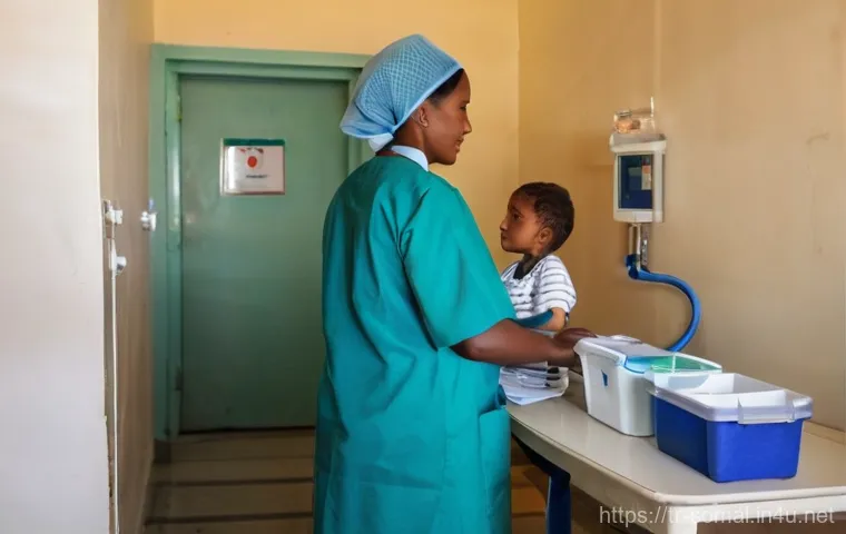 소말릴란드의 의료 서비스 - **Community Health Education in a Somaliland Village**
    A vibrant scene depicting a local Somalil...