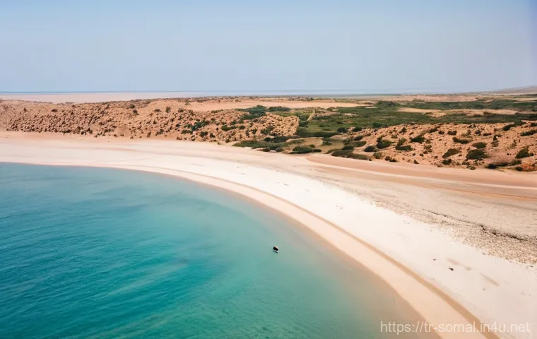 소말릴란드 주요 관광지 - **Prompt:** "A mystical, ancient cave interior in Laas Geel, Somaliland, illuminated by soft, natura...