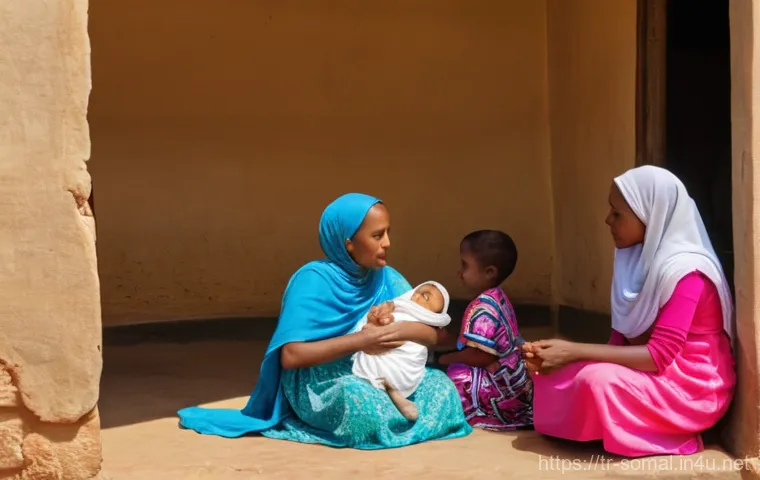 소말릴란드 전통적인 가족 구조 - **Prompt:** A dignified traditional Somaliland clan council meeting taking place in an open-air vill...